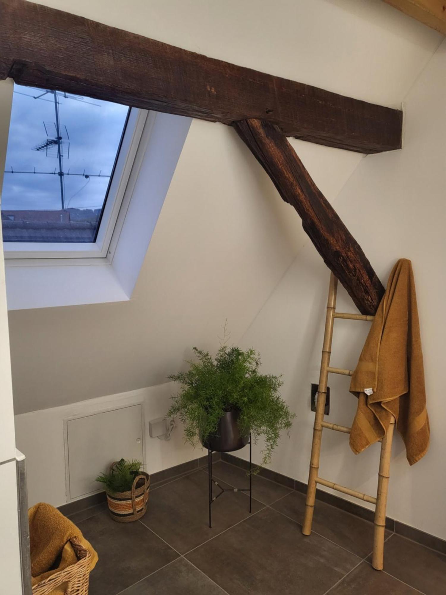 Ferienwohnung Im Rebstock Nr.1 Bahlingen  Kültér fotó